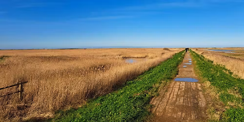 Mindfulness walk (1 December)