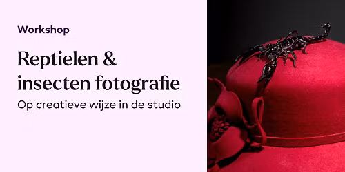 Reptielen en Insecten - FotoUnie Tilburg, Ki Tan