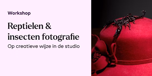 Reptielen en Insecten - FotoUnie Tilburg, Ki Tan