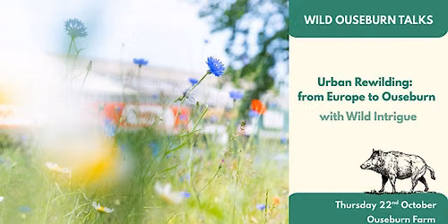 Wild Ouseburn Talk | Urban Rewilding: From Europe to Ouseburn