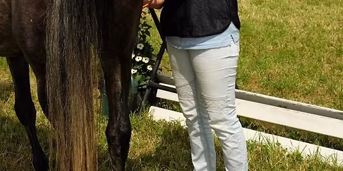 Distanzseminar mit Dr.Ursula Klingbeil