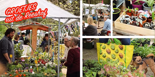 Plantjesmarkt > koop en deel je plantjes (en nog veel meer)