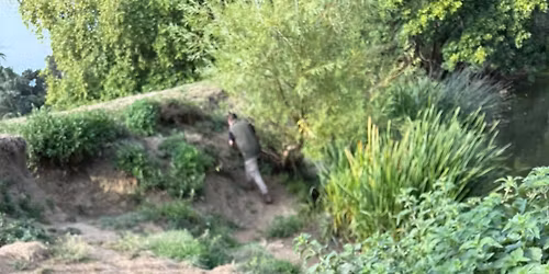 Monthly guided dog walk \ud83d\udc15