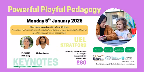 Powerful Playful Pedagogy