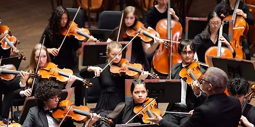Harp Ensemble & the American Youth Philharmonic in Concert