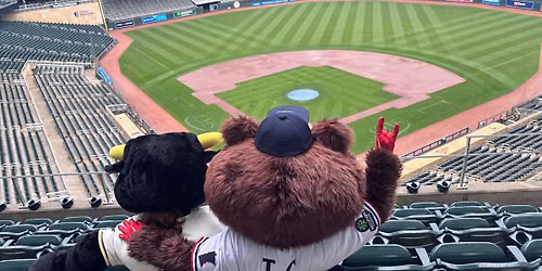 MSU Night at the Twins
