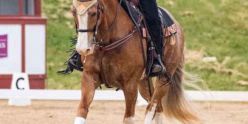 Western Dressage November Show 