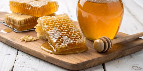 Hive to Table: A Honey Harvesting Experience