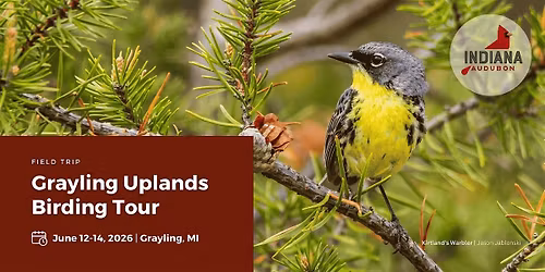 Grayling Uplands Birding Tour 2026