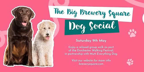 The Big Brewery Square Dog Social