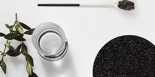 The Luxury Events Expo