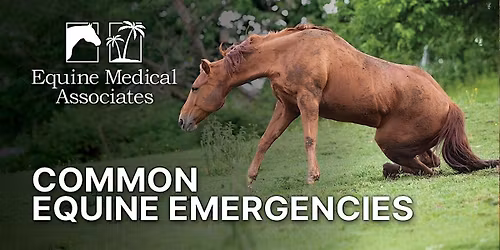 FREE Dinner Event: Common Equine Emergencies