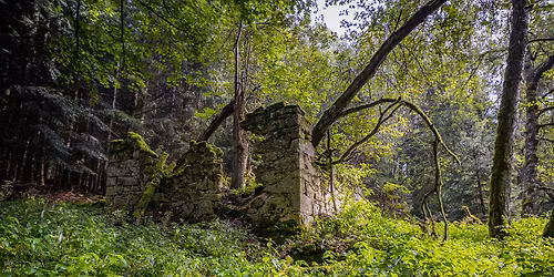 Pam\u011b\u0165 \u010cesk\u00e9ho lesa: Vernis\u00e1\u017e v\u00fdstavy