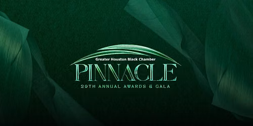 29th Pinnacle Awards