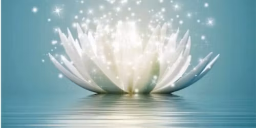 Medieskab Udviklingsforl\u00f8b a 6 Aftener \u2728\ufe0f Roskilde