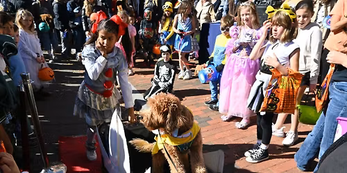 Howl-o-ween Dog Parade