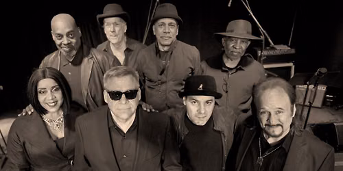 Tupelo Honey: A Van Morrison Celebration