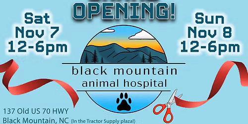 GRAND OPENING Celebration!