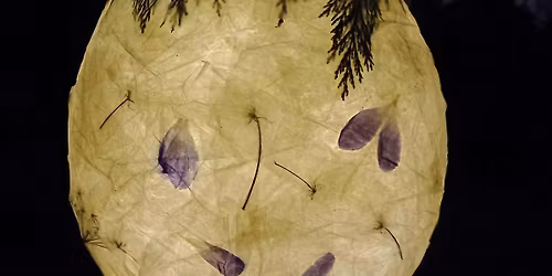 Moonwrite Special Edition - Lunar Lanterns