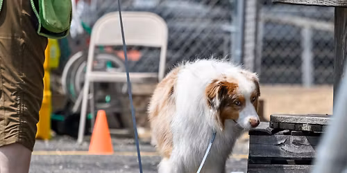 MAKC -AKC Scentwork trial - May 2 & 3