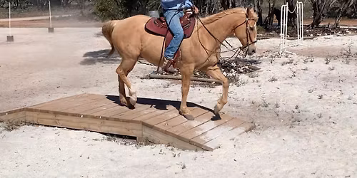 Working Equitation Clinic