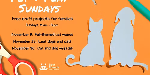 Pet and Play Sundays with Best Friends