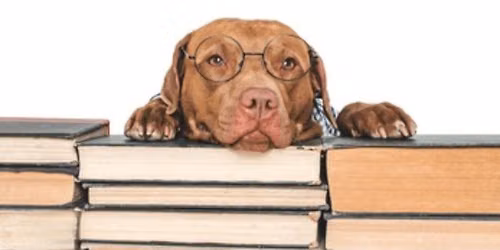 \ud83c\udf1eEnd of Summer Book Extravaganza\ud83c\udf1e