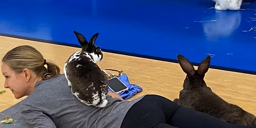 Eden Prairie Bunny Yoga with RRMN!!