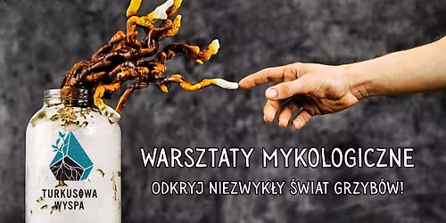 \ud83c\udf44\u200d\ud83d\udfeb Warsztaty Mykologiczne na Turkusowej Wyspie \ud83c\udf44\u200d\ud83d\udfeb