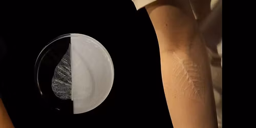 Becoming Plant: Short artist lecture Workshop