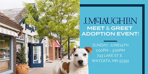 Meet & Greet Adoption Event at J. McLaughlin Wayzata