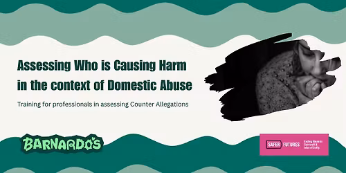 Assessing Who is Causing Harm in the Context of Domestic Abuse (Truro)