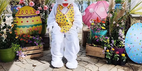 Willow Oak's Easter Egg Hunt 