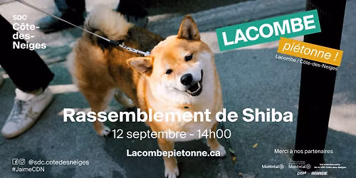 Rassemblement de Shiba & Akita | Samedi 12 septembre 2026 \u00e0 14h00 | Avenue Lacombe, C\u00f4te-des-neiges