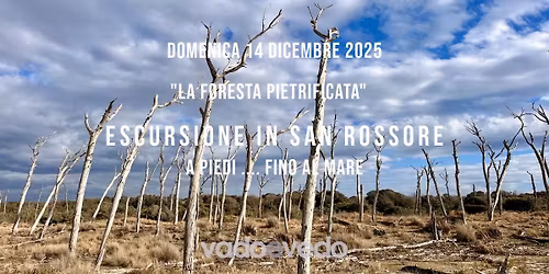 Escursione nella Tenuta di San Rossore ... fino al mare