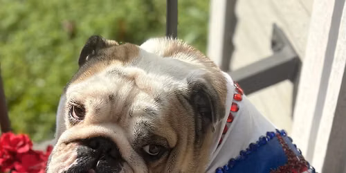 Happy Hour with Petunia Jane!