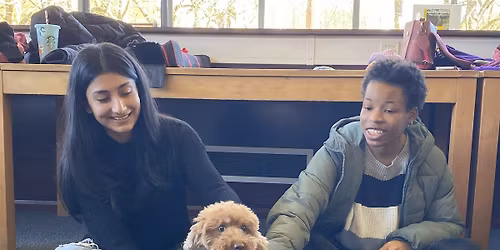 Canine Cuddles - Sciences Chichester 1 (19\/11\/25)