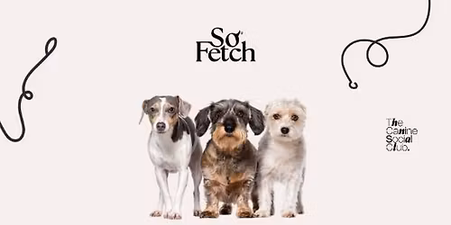 Mini Meet-Up: Under 20lbs!