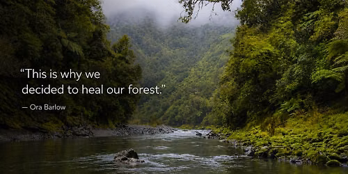Healing the Forest: Ora Barlow on Indigenous Leadership & Nature Finance