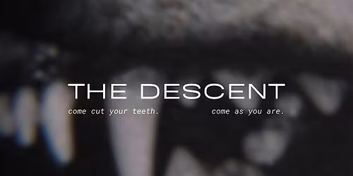 THE DESCENT | an embodied luteal phase workshop