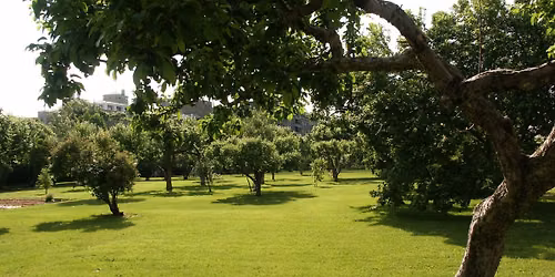 Jardiner et soigner : parcours crois\u00e9 de l'exposition M\u00e9decine et charit\u00e9 et du jardin du monast\u00e8re 