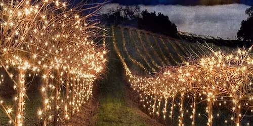 Holiday Bazaar at Cavallo Vineyards