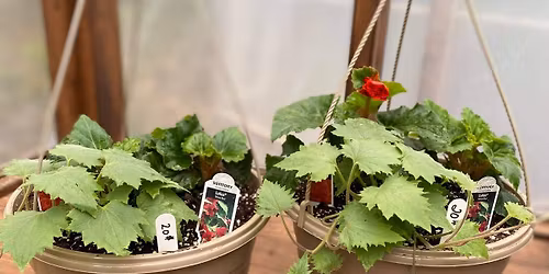 Hanging basket Workshop and lunch