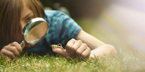 What's Bugging You?