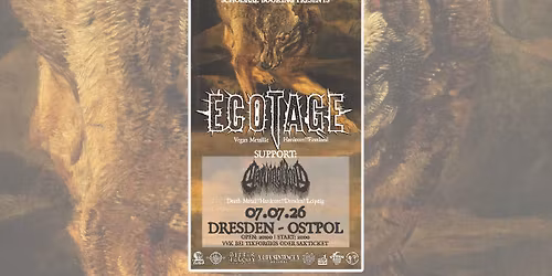 ECOTAGE + Carving Void