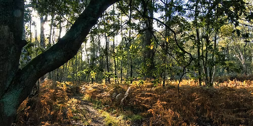 Black Girls Hike: Ruislip and Mad Bess Woods Circular