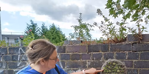 FREE Christmas Art Trail Walk - Stoke on Trent