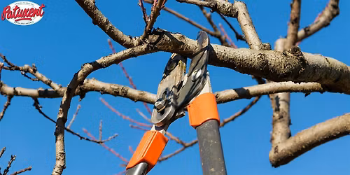 Deciduous Trees And Shrubs Pruning Seminar