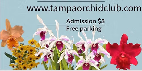 Tampa Orchid Club show and sale