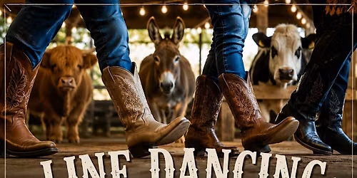 Line Dancing at Seven Oaks Farm with Sterling Social
